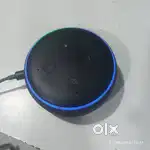 Echo dot Alexa