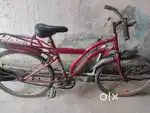 Bast cycle