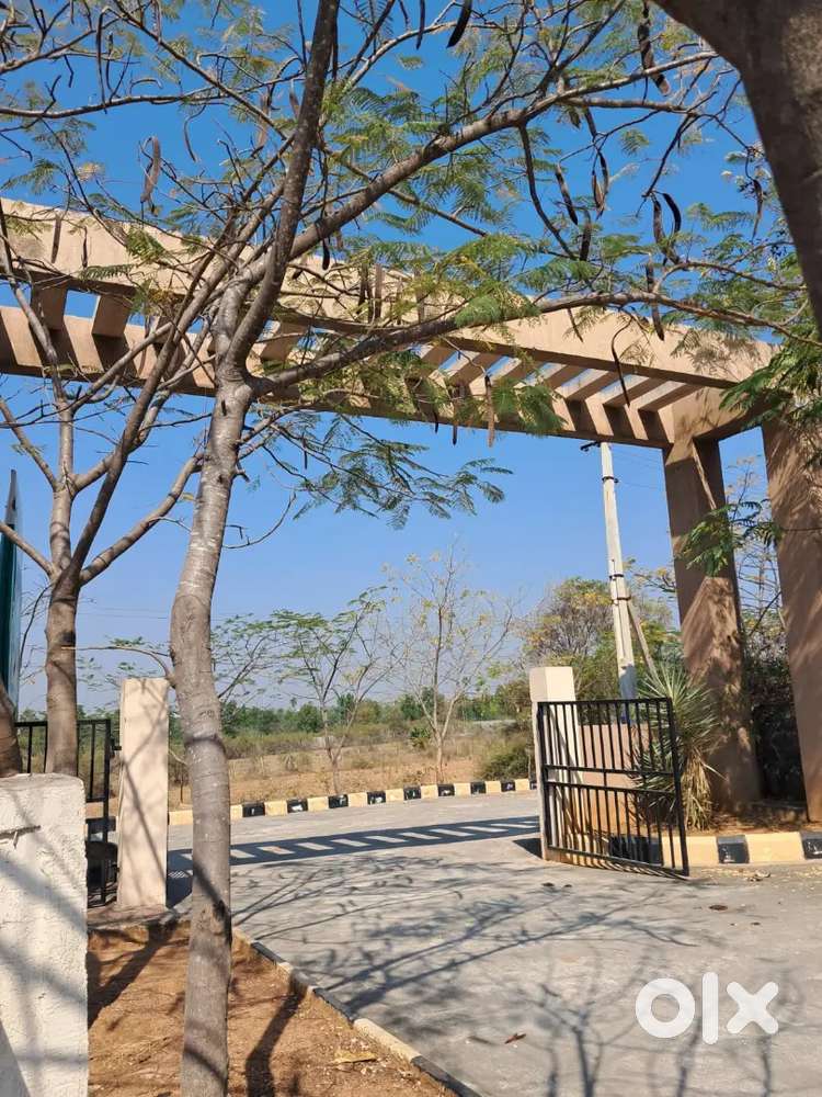 Pine woods project by modi builders