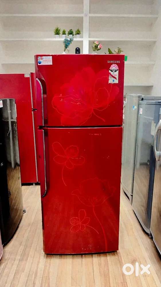 Samsung 253 L 5 Star Double Door Refrigerator Frost Free Free Delivery