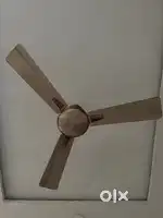 Rent me dena hai