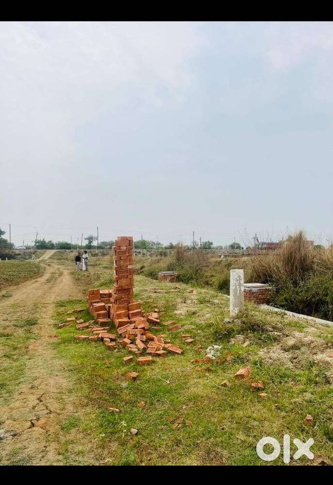 township society project