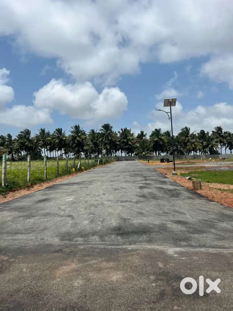 Near Marine college Low Budget DTCP plot For Sale in Othakaalmandabam