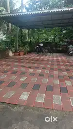 3 BHK house, 12 cent, 1000sq.  Pukkattupady, near Thaqdees hospital