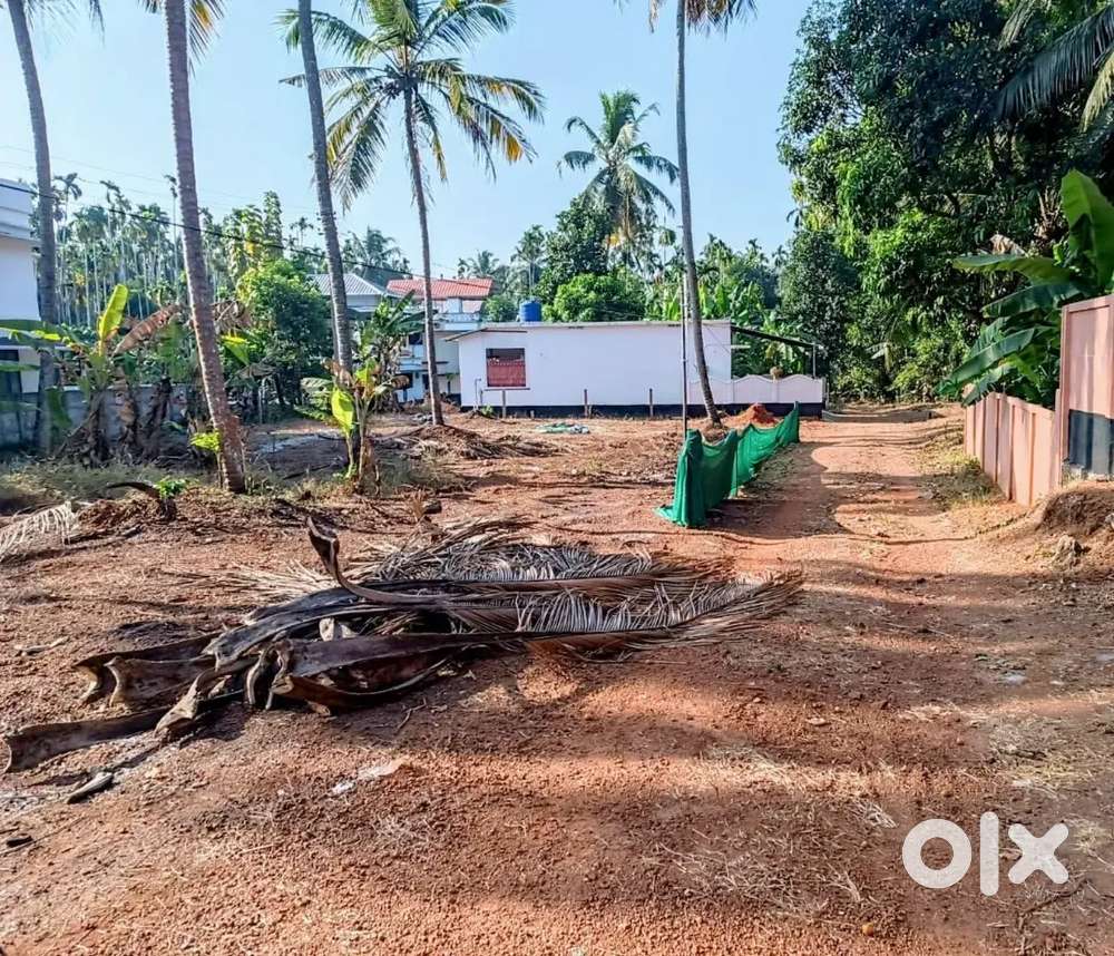 60 Cent Property, 500m from Pazhanji Cathedral,Great for Housing Plots