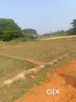 Low cost plot