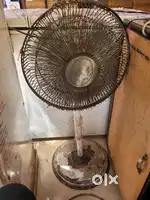 Fan timsy brand ka