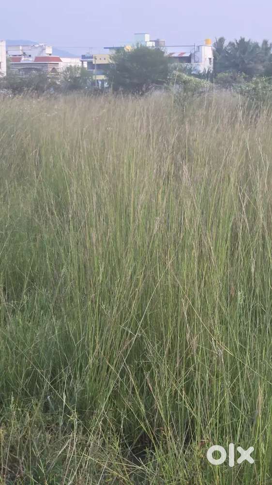 Plot @ Chengalpet, Salavakkam