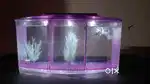 MINI BETTA AQUARIUM WITH LED BULB