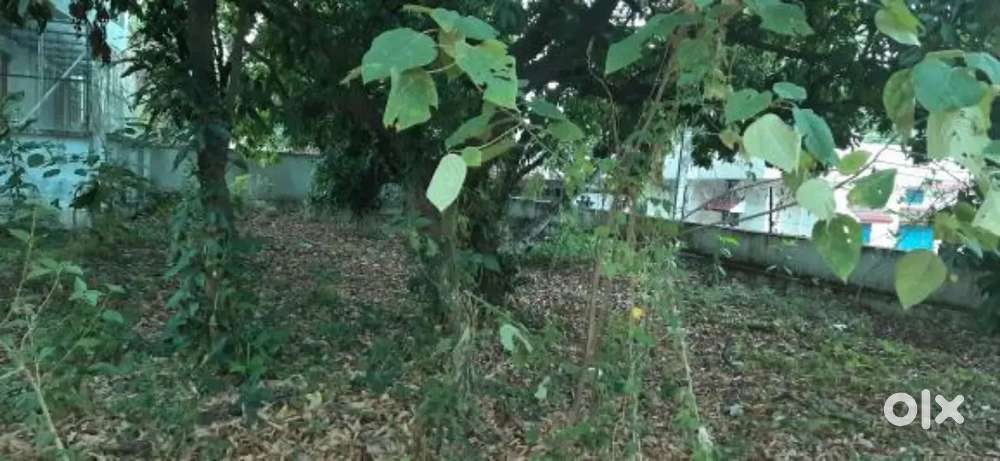 270sy plot in Badripur, very genuine price 1.49cr best deal of the day