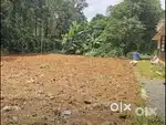 Kothamangalam thankalam house plots for sale