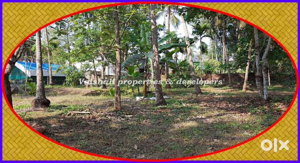 10 cents House plot in Prime Location in Edakkad near East Hill
