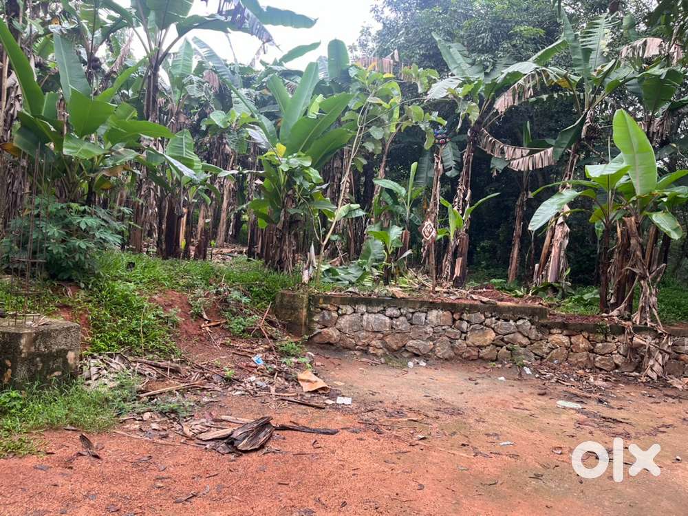 Peace full property located near pond and nature. 50 cent