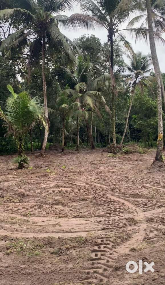 Perumpalam island plot for sale 5or10 or 15cent