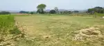 9 acres primest location village sioonk New Chandigarh