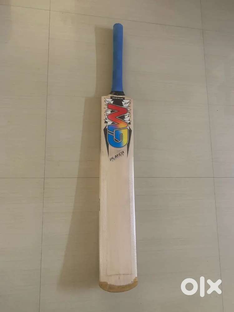 Kashmir Willow Cricket Bat