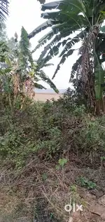 Madanpur gourango para 1.5 Katha plot
