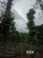 View lands for sale in vagamon