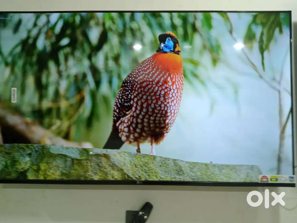 Sony Samsung LG Brand New Smart Android Google TV All Sizes Available