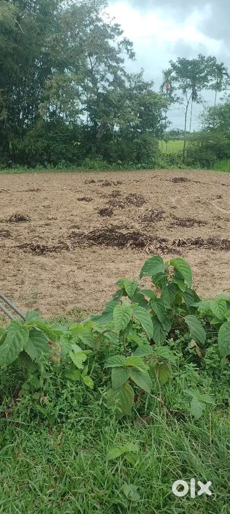 Land sale at Chowkhat Bhorolua Gaon under Chowkhat mouza