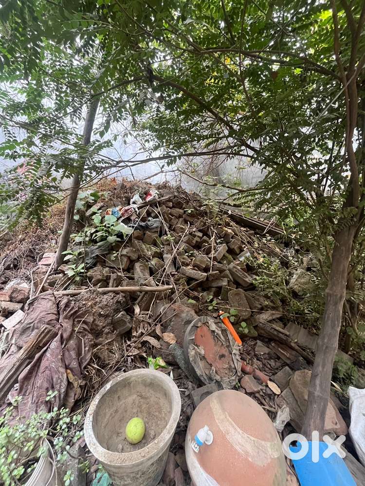 Free tuti hui bricks