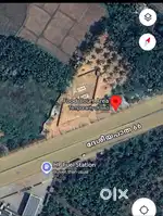 NH66 Roadside 10 cent Dry land for lease 42 mtr road frontage length
