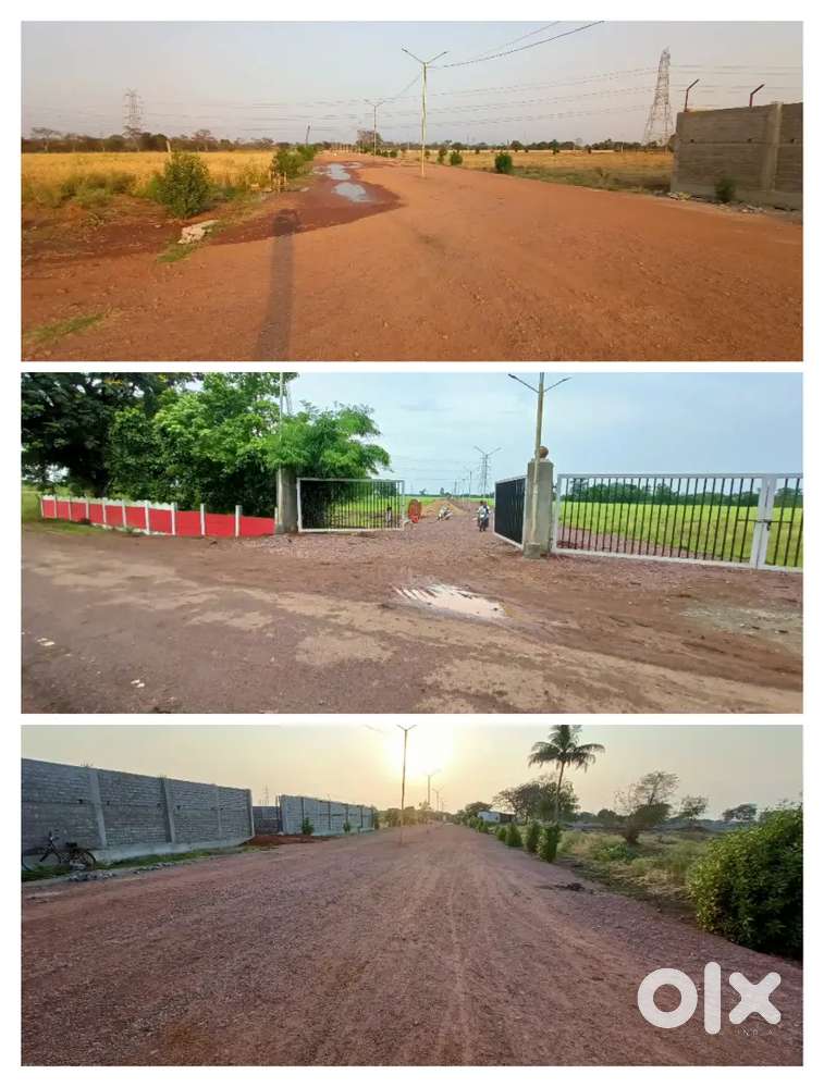 फार्म हाउस और इन्वेस्टमेंट के लिए बेहतरीन लोकेशन मे प्लॉट जामुल के आगे
