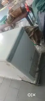 Jumbo freezer