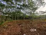 Open site for sale