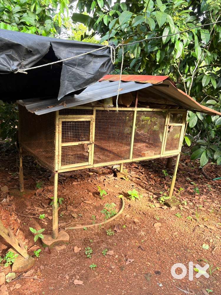 Cage for birds and rabbits