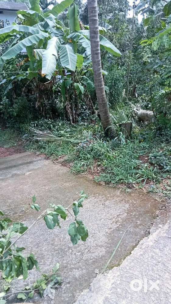 Plot for sale