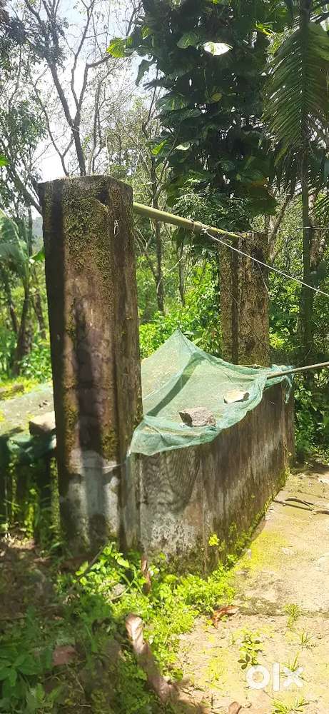 Plot and home for sale