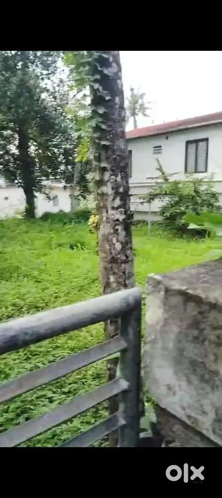 6cent land for sale kuravankonam