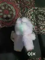 Labubu doll
