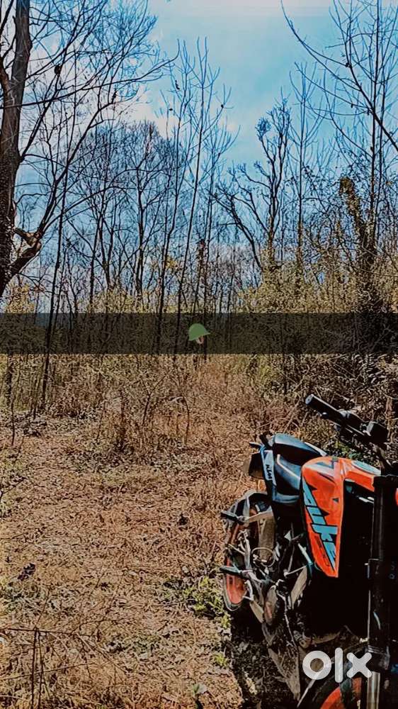 New clutch plate and chain set