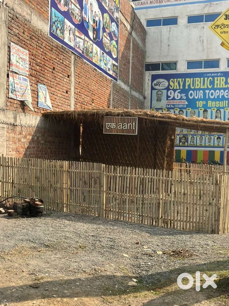 Chef ,helper ,new comer