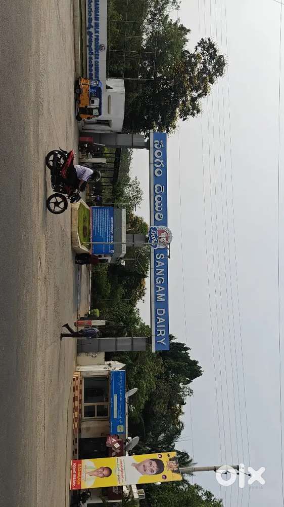 Sangam dairy milk delivery to shops