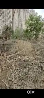 Available 3 acres plot for sale in bokarpada, panvel