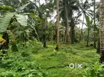 Plot for sale