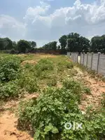 Plot for Sale