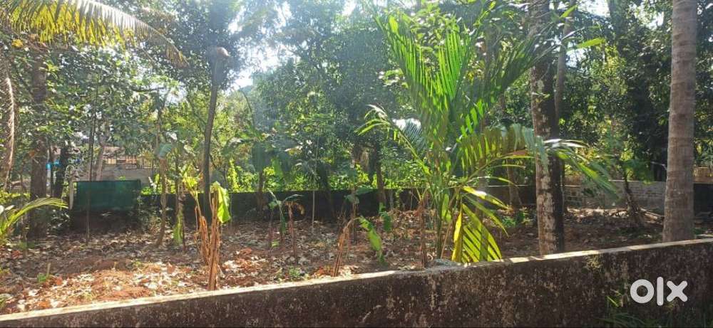 4.2 lakhs/cent, Chathakudam, Cherpu, Ollur, Thrissur
