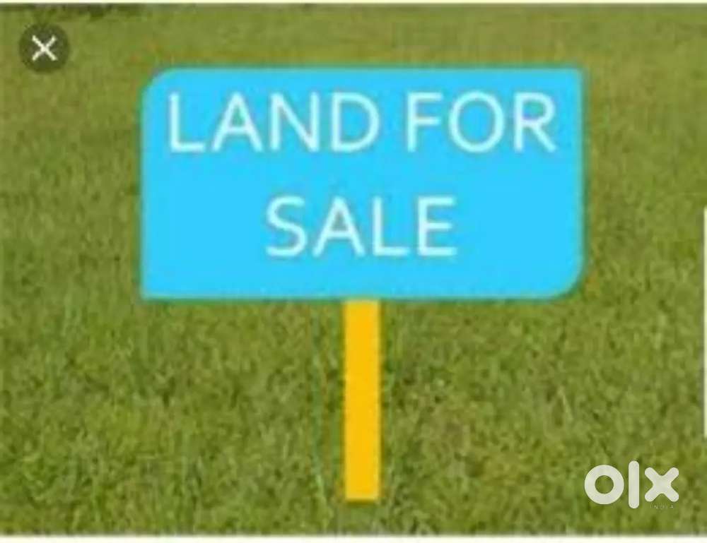 7.50 bigha land for sale at sherwa chowraha bypass road near st marys