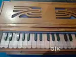 Harmonium musical instrument