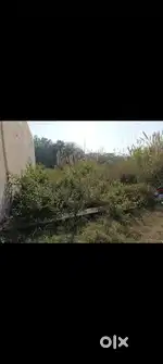 Residential PLOT FOR SALE NEAR RAILWAY STATION UNA