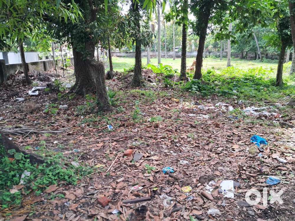 6.50Cents of House Plots near Medical Center Hospital, Palarivattom