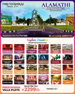 Luxury plots