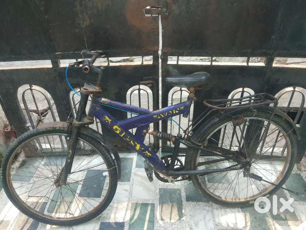 Avon cycle