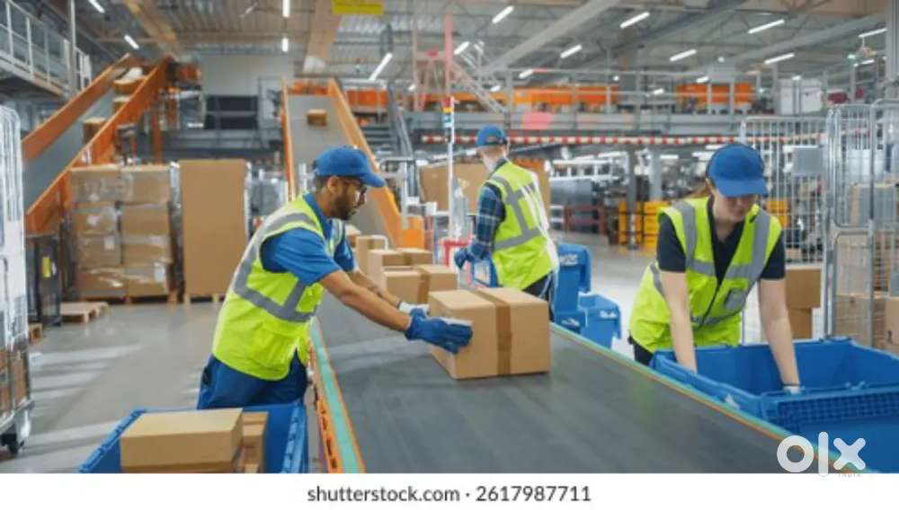 Wanted to Station aascosiate Thane (Ghod Bandar)