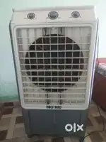 Holy Bird cooler 2025