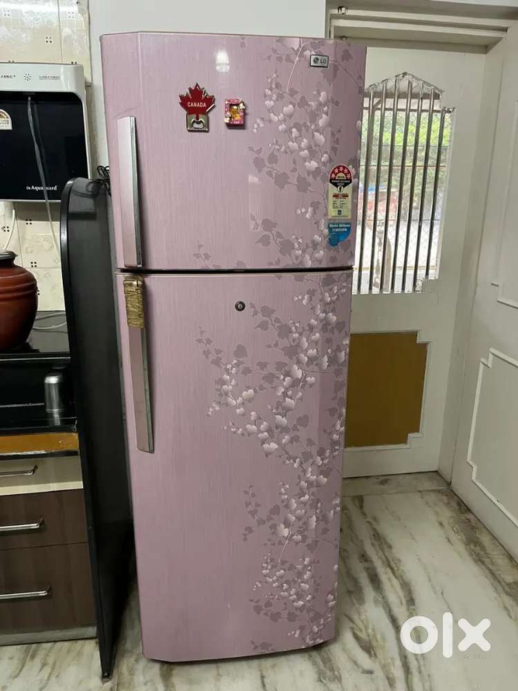 LG Double Door Fridge